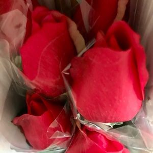 Valentine’s Day Gift 1 Dozen Genuine Silk Red Roses New Wrapped Flowers